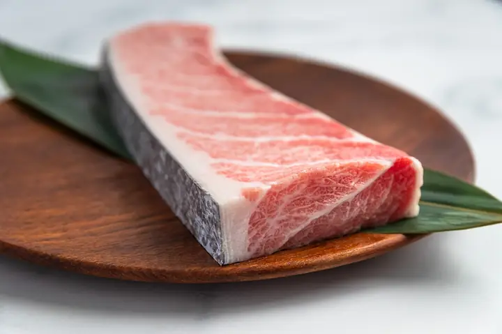 Maguro Là Cá Gì