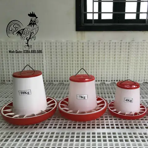 Máng Ăn Cho Cá Dĩa