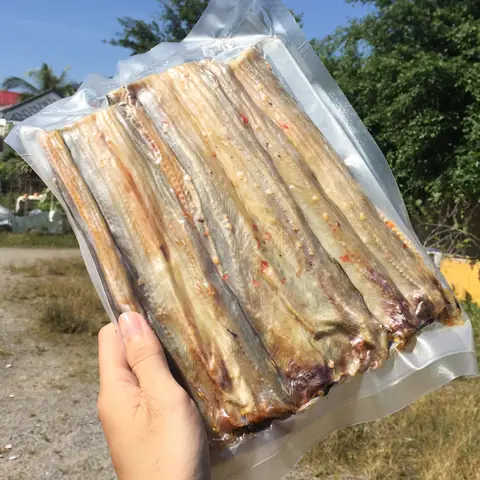 Mật Cá Chình Có Tác Dụng Gì