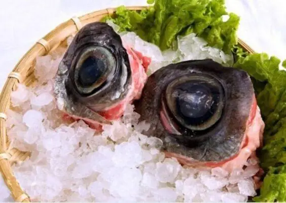 Mắt Cá Ngừ Có Tác Dụng Gì