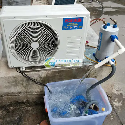 Máy Lạnh Bể Cá