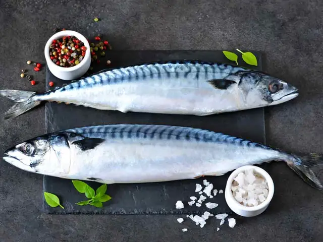 Mẹ Bầu Có Nên Ăn Cá Thu