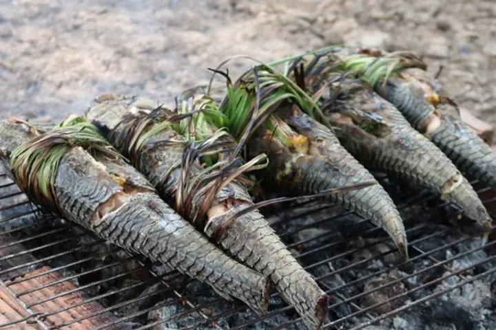 Mồi Cá Lau Kiếng