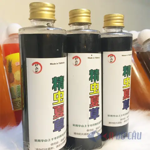 Mồi Câu Cá Chép Bằng Thuốc Bắc