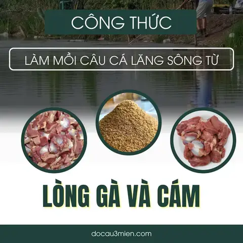 Mồi Câu Cá Lăng Sông Hồng