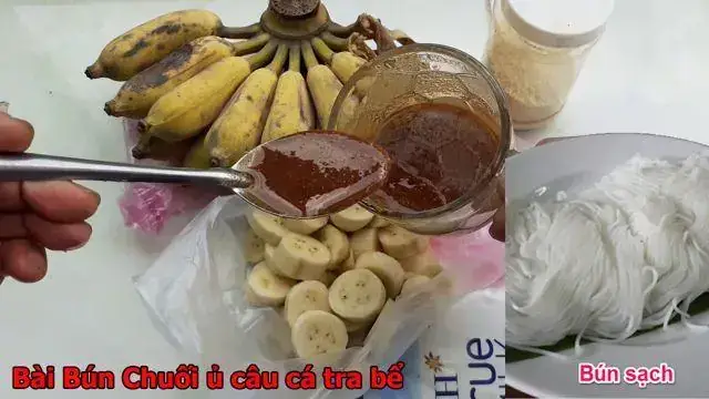 Mồi Câu Cá Tra Hugo