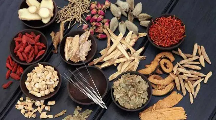 Mồi Câu Cá Trắm Đen Bằng Thuốc Bắc