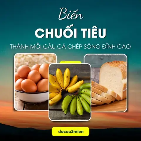 Mồi Câu Lancer Cá Chép Sông
