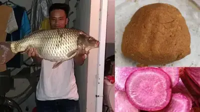 Mồi Câu Lăng Xê Cá Chép Mùa Đông