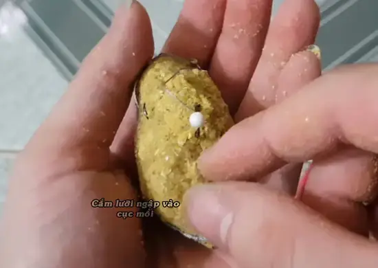 Mồi Câu Lăng Xê Cá Rô Phi