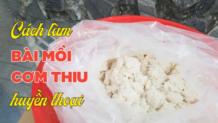 Mồi Cháo Câu Cá Tra
