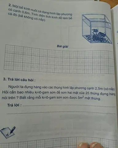 Một Bể Kính Nuôi Cá Dạng Hình Lập Phương