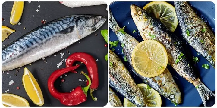 Một Tuần Nên Ăn Mấy Bữa Cá