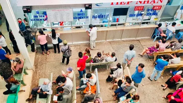 Mua Cá Bút Chì Ở Đâu
