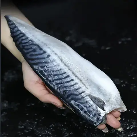 Mua Hồ Cá Ở Bình Dương