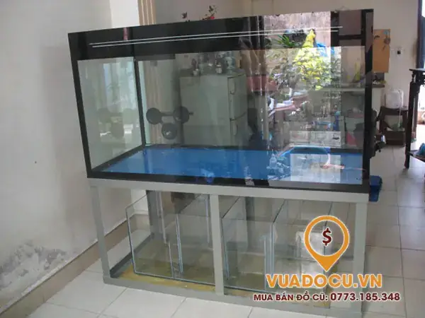 Mua Hồ Cá Ở Tphcm