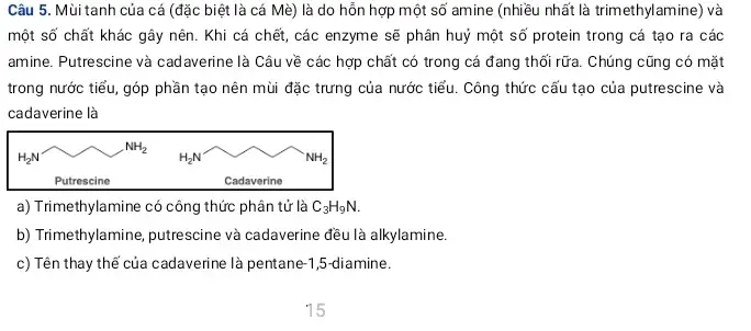 Mùi Tanh Của Cá Mè
