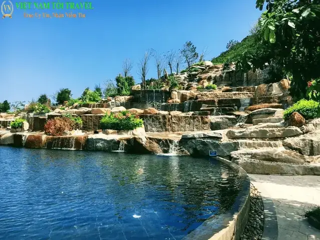 Ngắm Cá Thư Giãn