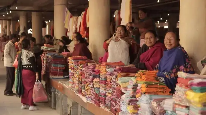 Nơi Bán Cá Nâu Giống