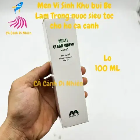 Nước Hồ Cá Có Bụi
