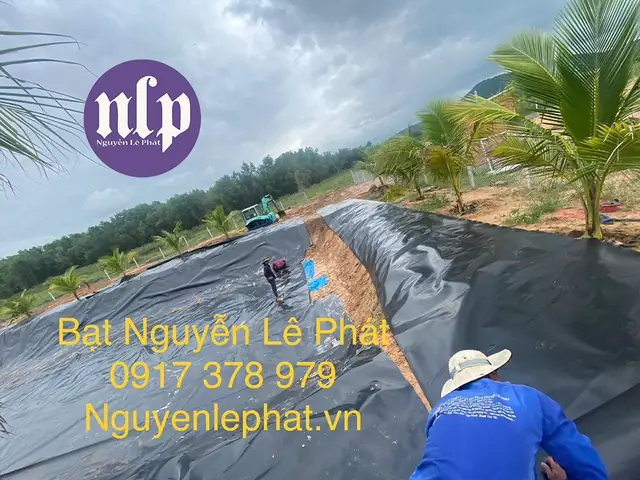 Nước Nuôi Cá Tưới Cây