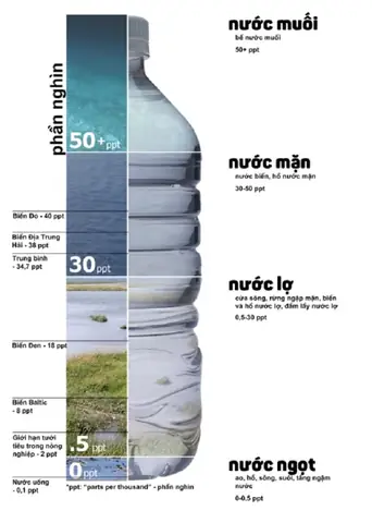 Nuôi Cá Bằng Nước Tinh Khiết