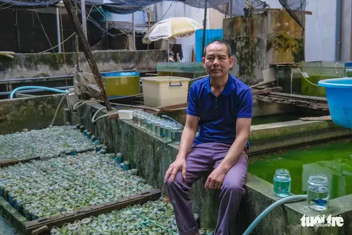Nuôi Cá Betta Trong Chai Nhựa