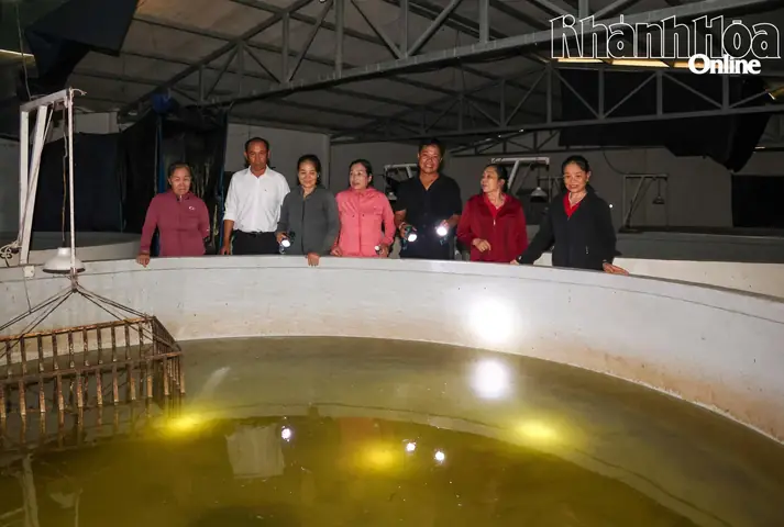 Nuôi Cá Biển Trong Bể Xi Măng