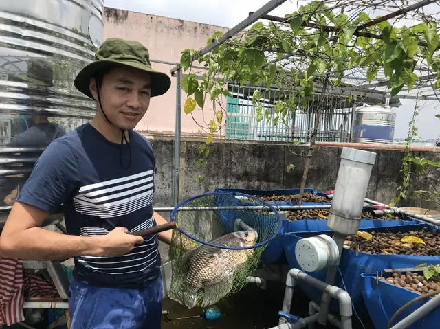 Nuôi Cá Cảnh Trên Sân Thượng