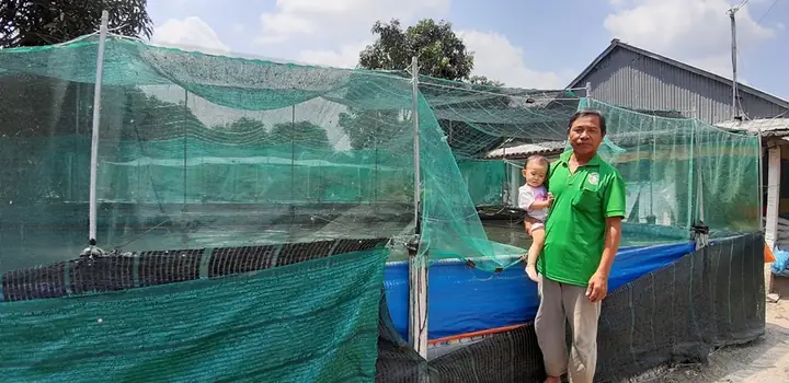 Nuôi Cá Lóc Trên Cạn
