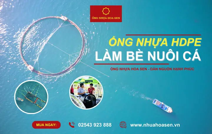 Nuôi Cá Trong Ống Nhựa