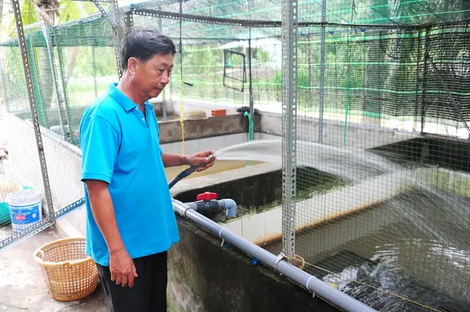 Nuôi Cá Trong Vườn Cây Ăn Trái