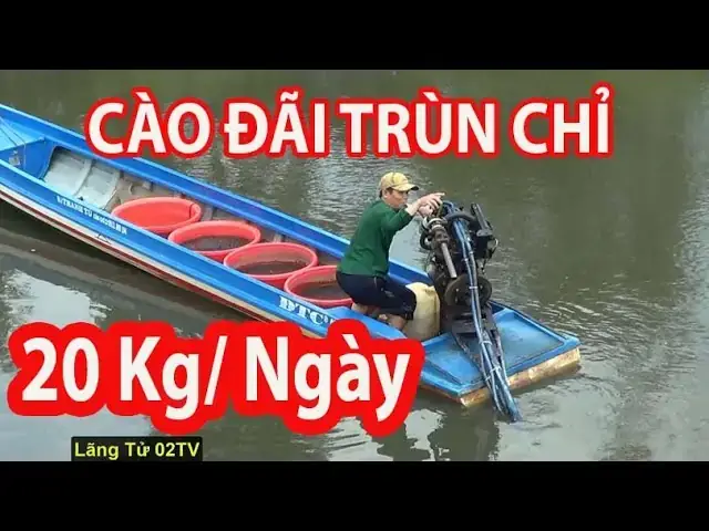 Nuôi Trùn Chỉ Trong Hồ Cá