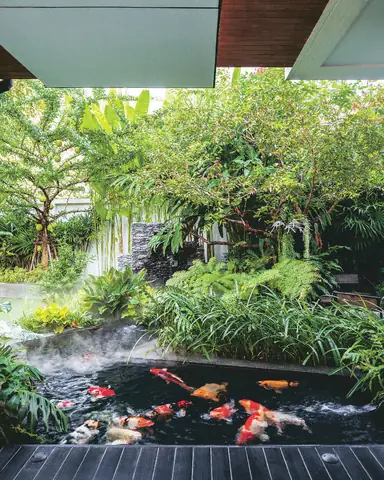 Phong Thủy Ao Cá Sau Nhà