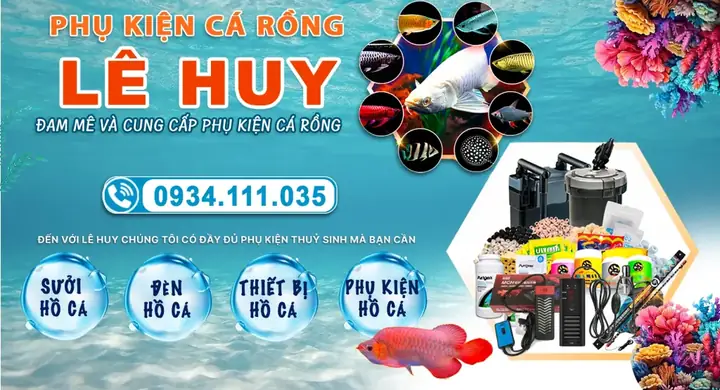 Phụ Kiện Bể Cá Rồng