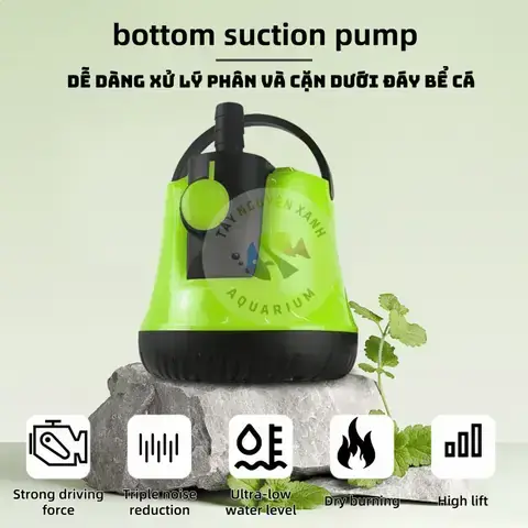 Phụ Kiện Cá Cảnh Hcm