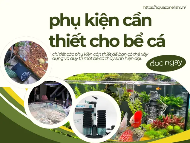 Phụ Kiện Cho Bể Cá Phụ Kiện Cho Bể Cá