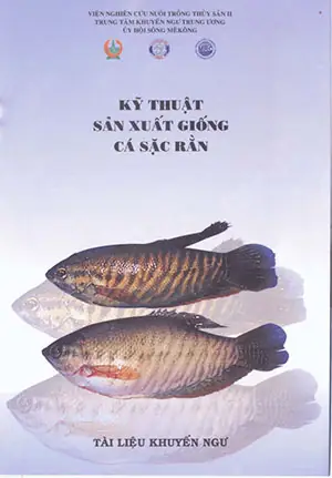 Sản Xuất Giống Cá Sặc Rằn