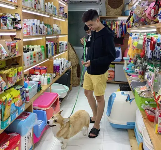 Shop Phụ Kiện Cá Cảnh Tphcm
