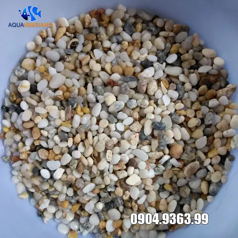 Sỏi Lót Hồ Cá