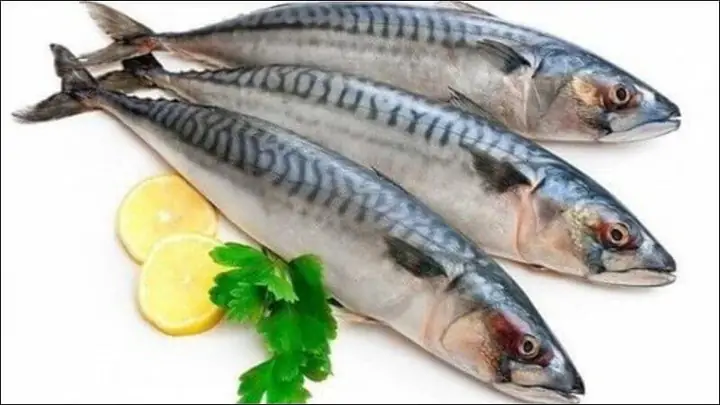Tác Dụng Của Cá Thu Biển