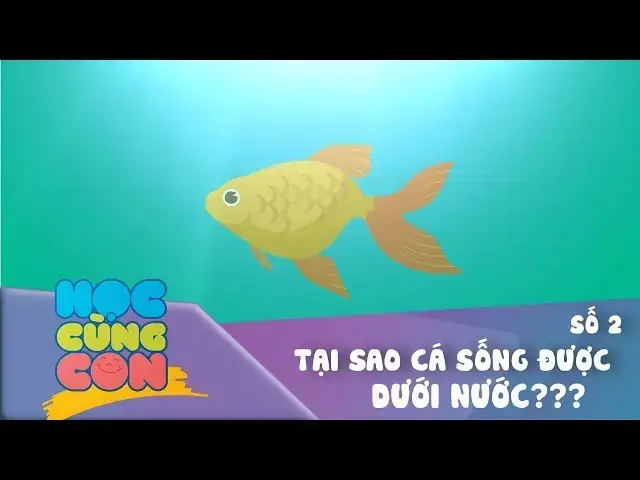 Tại Sao Cá Sống Được Dưới Nước