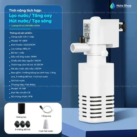 Tạo Oxy Cho Bể Cá Cảnh