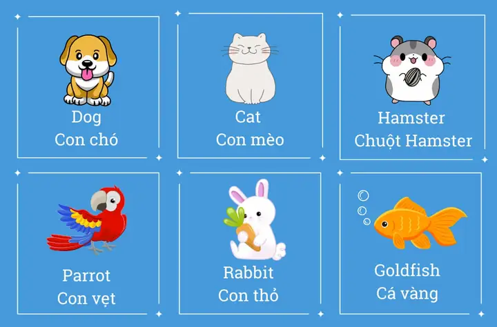 Thả Cá Tiếng Anh Là Gì