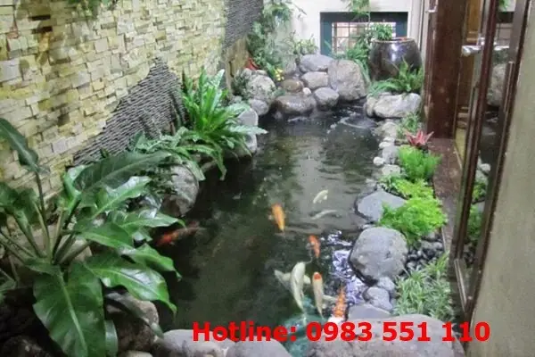 Thi Công Hồ Cá Koi Tại Nha Trang