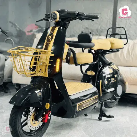 Thiết Kế Hồ Cá Dĩa