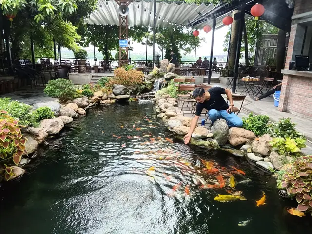 Thiết Kế Quán Cà Phê Cá Koi