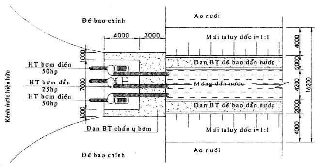 Thiết Kế Sông Trong Ao Nuôi Cá