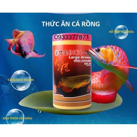 Thức Ăn Cá Rồng Lên Màu