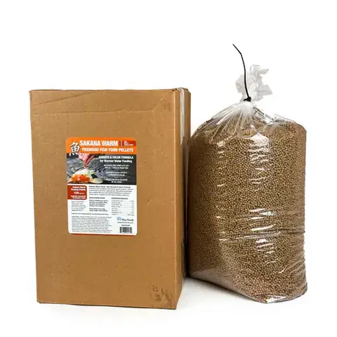 Thức Ăn Cho Cá Betta Mau Lớn